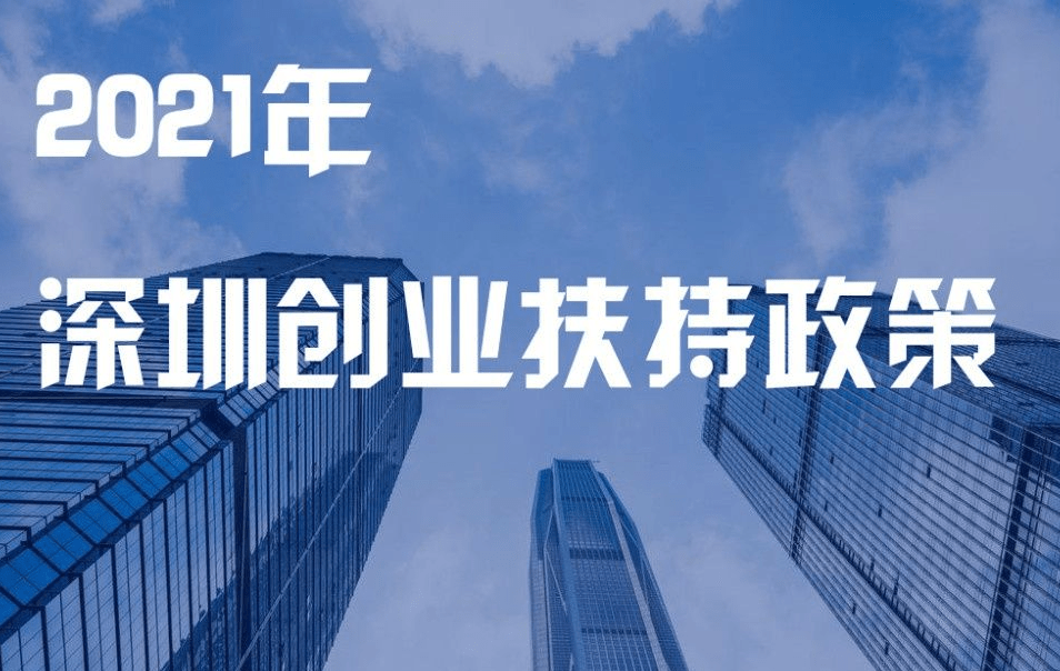 深圳创新政策引领未来，双翼翱翔发展高峰